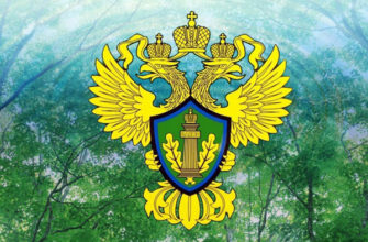 Что такое коммерческий банк