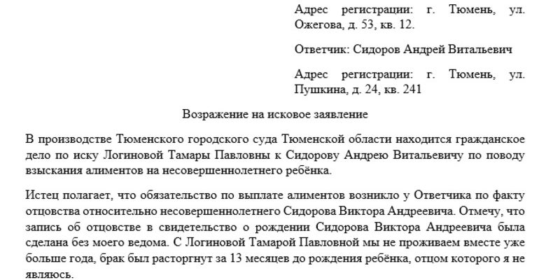 Возражение на исковое заявление